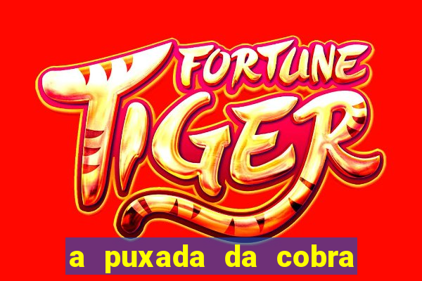 a puxada da cobra no jogo do bicho